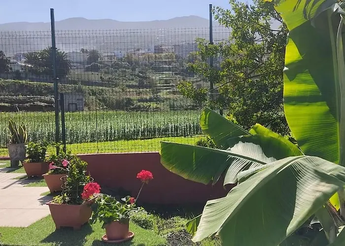 Hébergement de vacances Casa Mamatina, En Realejos *